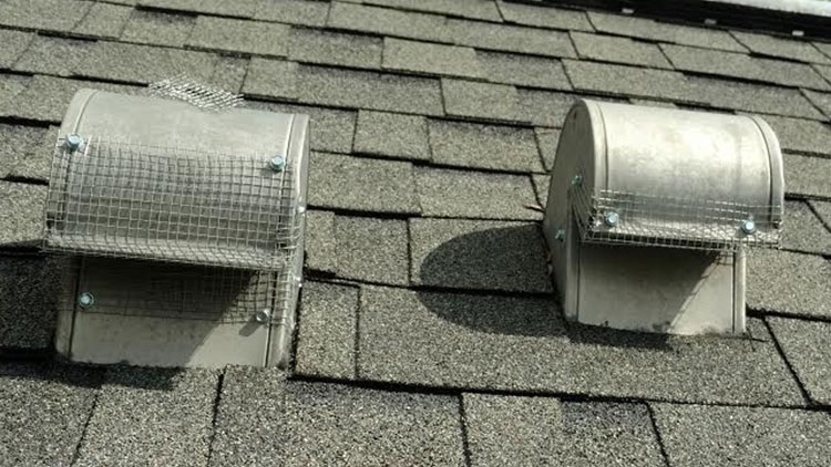 Exclusion materials on attic vents